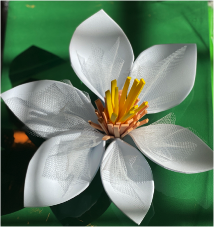 vit+blomma